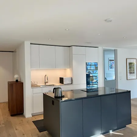 Modern Jungfrau View With Bbq And Ac At Interlaken West Station Unterseen