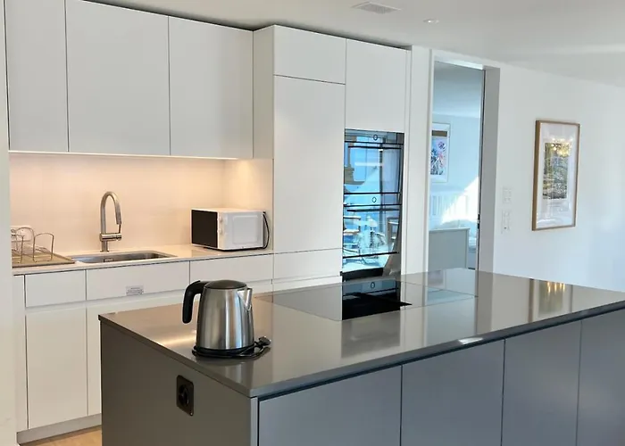 Modern Jungfrau View With Bbq And Ac At Interlaken West Station *